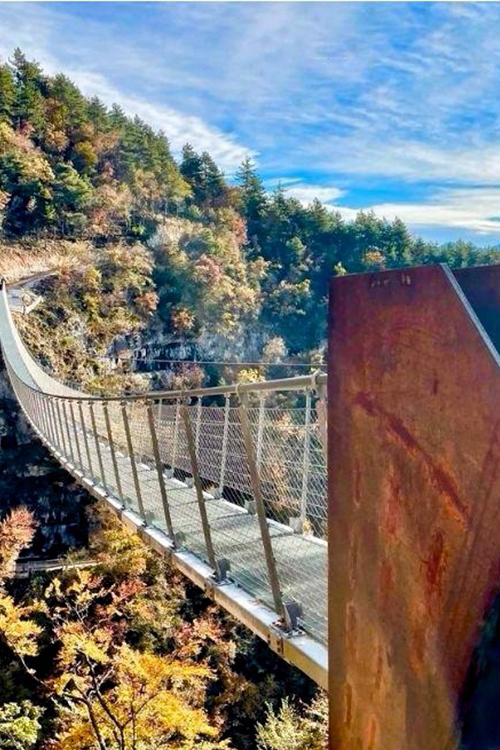 ponte tibetano mezzacorona